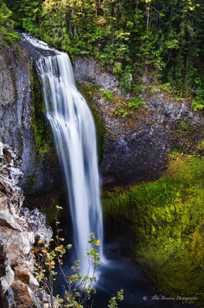 Salt Creek Falls-3668 Salt Creek Falls-3668
